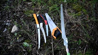 Тестируем разные пилы на тонкие ветки до 10 см.