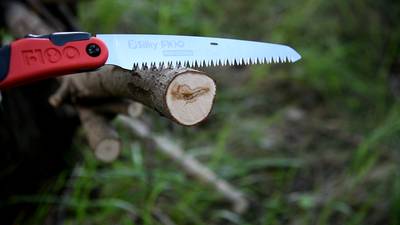 Тестируем разные пилы на тонкие ветки до 10 см.