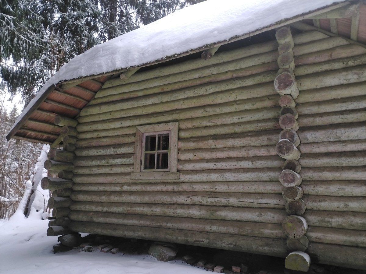  Эстония. Лесной дом Вялламяе и пикниковое место.