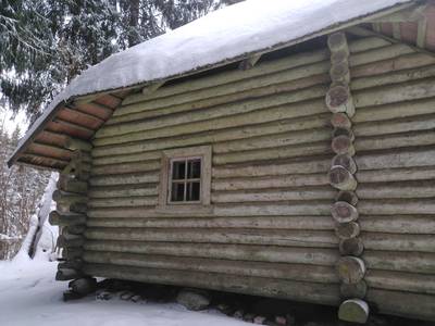 Эстония. Лесной дом Вялламяе и пикниковое место.