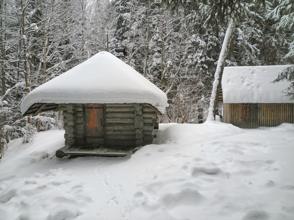  Эстония. Лесной дом Вялламяе и пикниковое место.